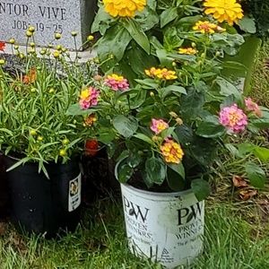 Meet your Posher, Ana